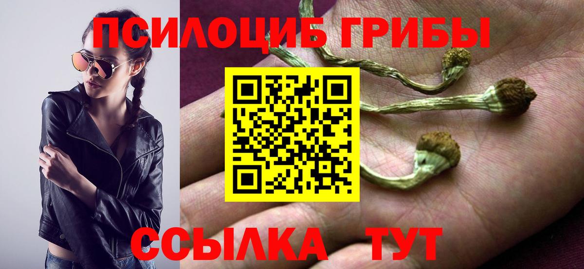 Псилоцибиновые грибы MAGIC MUSHROOMS  Вход с VPN  Псилоцибиновые грибы Psilocybine cubensis  Отрадное 